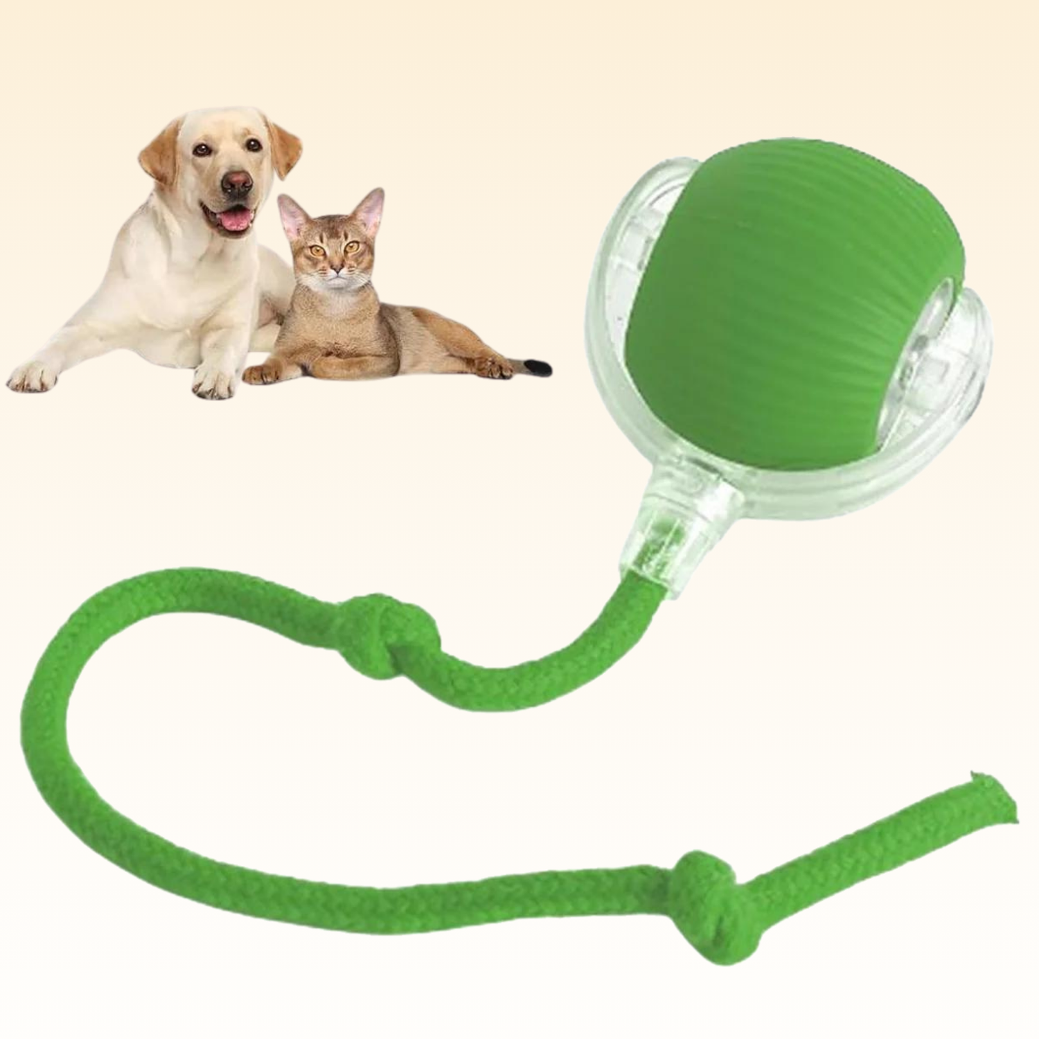 Interactive Pet-Ball™